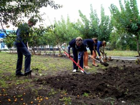 Конкурсы пришкольных участков Конкурсы пришкольных участков